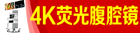 ɣϺtе޹˾